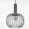 Steinhauer Aureole Pendant Light black, 1-light source