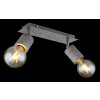 Globo FREDDY Ceiling Light Oxidised Silver, 2-light sources