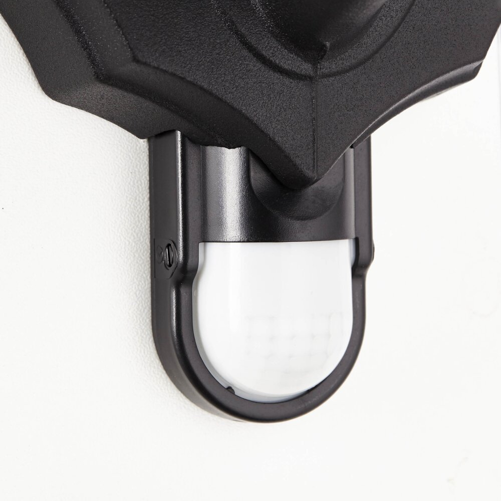 Brillliant Carleen Outdoor Wall Light black, 1-light source, Motion sensor