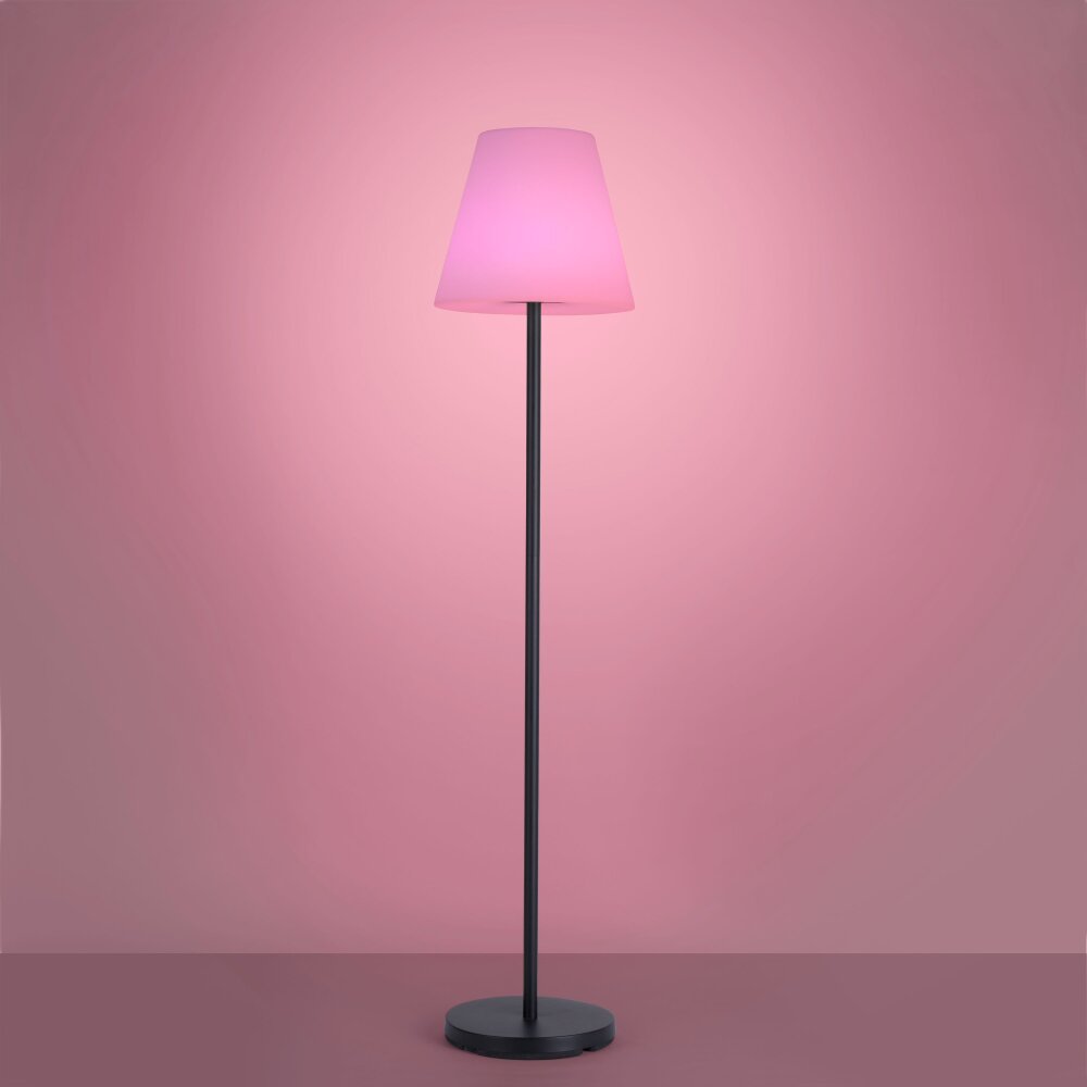 Leuchten Direkt HOLLY Floor Lamp LED black, 1-light source, Colour changer