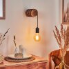 Canedo Wall Light brown, 1-light source