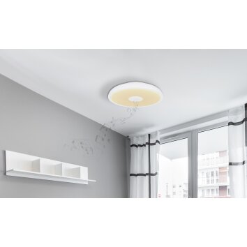 Globo RAFFY Ceiling Light LED black, white, 1-light source, Remote control, Colour changer