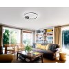 Fabas Luce Giotto Ceiling Light LED black, 1-light source