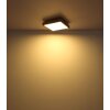 Globo DORO Ceiling Light LED Wood like finish, black, 1-light source