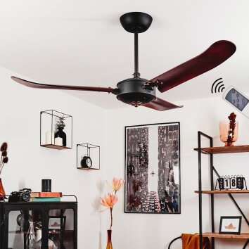 Virrik ceiling fan brown, black, Remote control