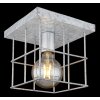 Globo MERRIL Ceiling Light galvanized, 1-light source