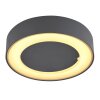 Globo SURA outdoor ceiling light LED anthracite, 1-light source