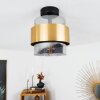 TRAAK Ceiling Light black, 1-light source