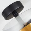 TRAAK Ceiling Light black, 1-light source