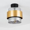 TRAAK Ceiling Light black, 1-light source