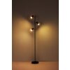 Globo ROBBY Floor Lamp black, 3-light sources