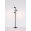 Globo ROBBY Floor Lamp black, 3-light sources