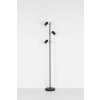 Globo ROBBY Floor Lamp black, 3-light sources