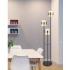 Globo MILLEY Floor Lamp black, 3-light sources