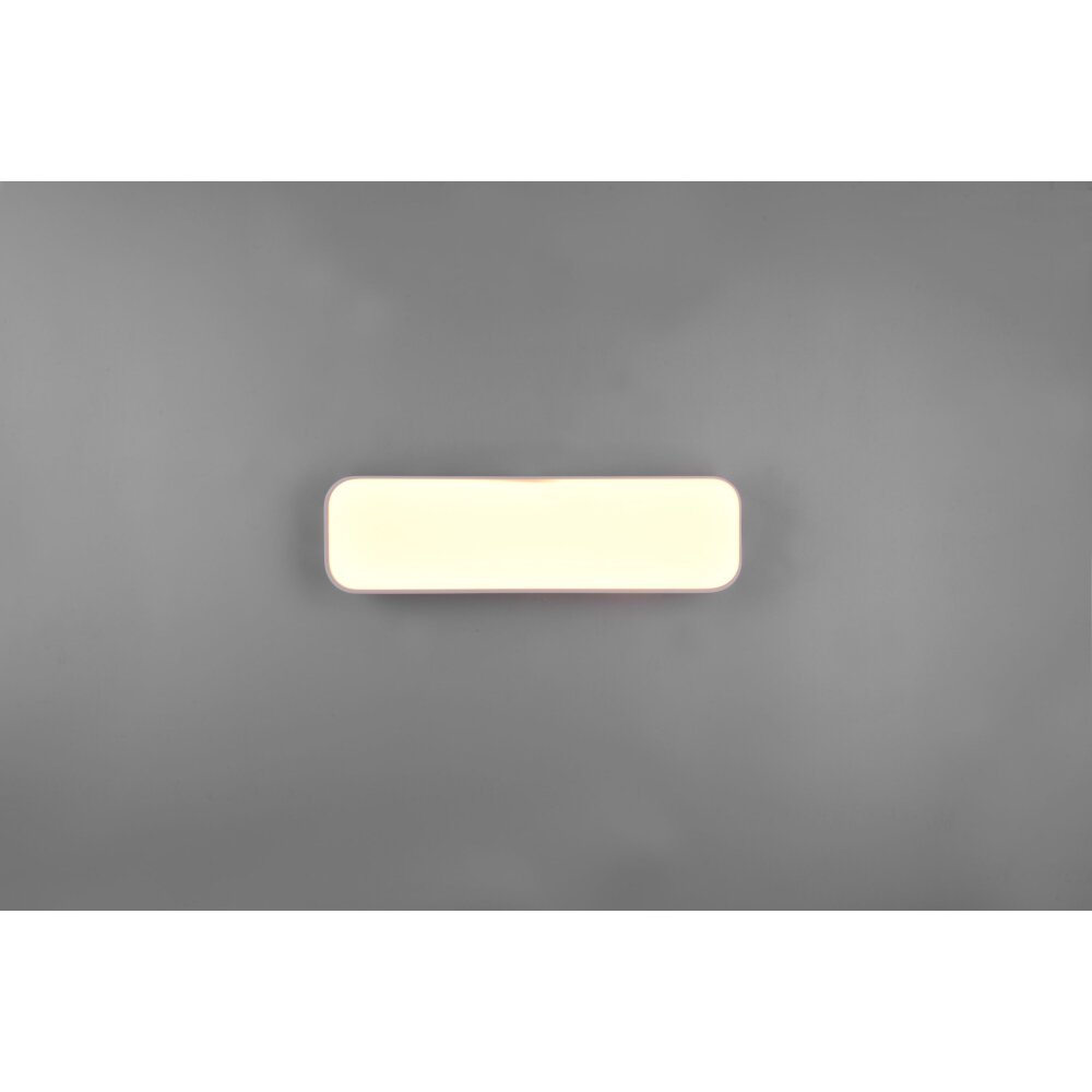 Reality ASTERION Ceiling Light LED white, 1-light source, Remote control