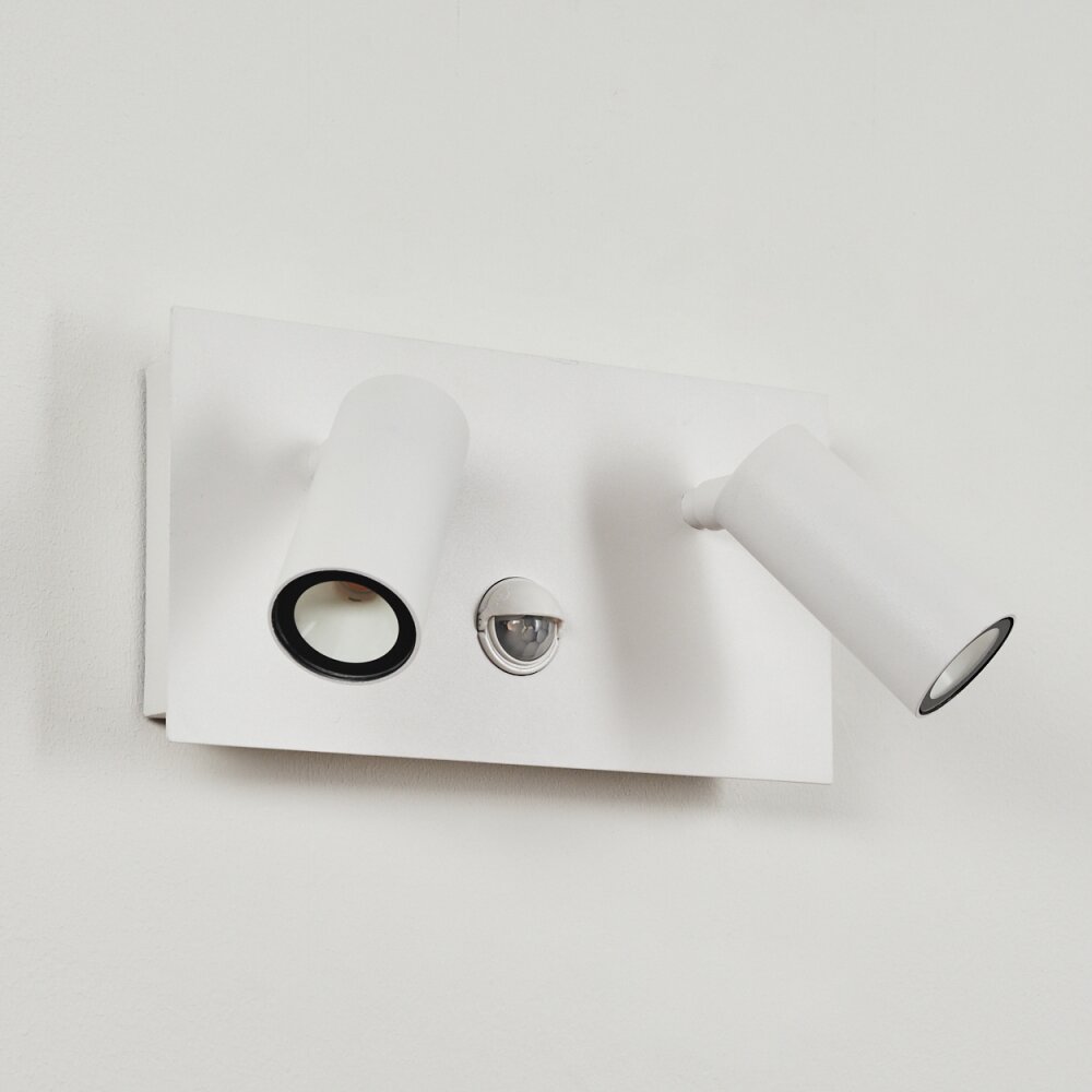 SAETER Outdoor Wall Light LED white, 2-light sources, Motion sensor
