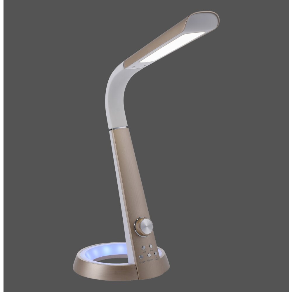 Paul-Neuhaus BILL Table lamp LED brass, 2-light sources