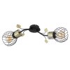 Globo LALLY Wall Light brass, black, 2-light sources