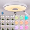 VULLY Ceiling Light white, 1-light source, Colour changer