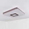 BUONAS Ceiling Light LED white, 1-light source, Remote control