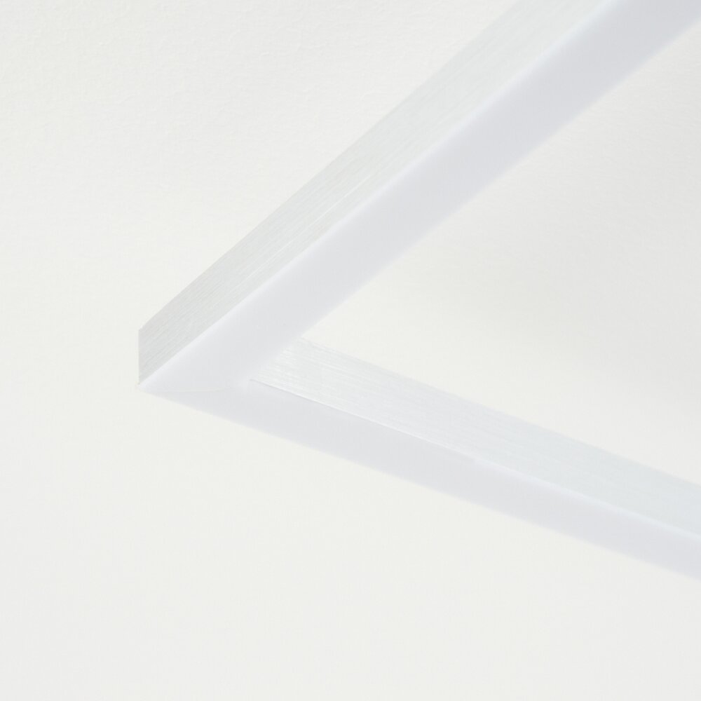 MOYA Ceiling Light LED silver, white, 1-light source
