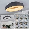 SACHSELN Ceiling Light LED black, 1-light source