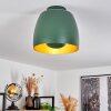 VIKING Ceiling Light green, 1-light source