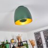 VIKING Ceiling Light green, 1-light source