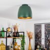 VIKING Ceiling Light green, 1-light source