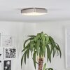 HUTTON Ceiling Light LED matt nickel, 1-light source