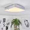 HUTTON Ceiling Light LED chrome, 1-light source