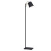 Eglo LACEY Floor Lamp brown, black, 1-light source