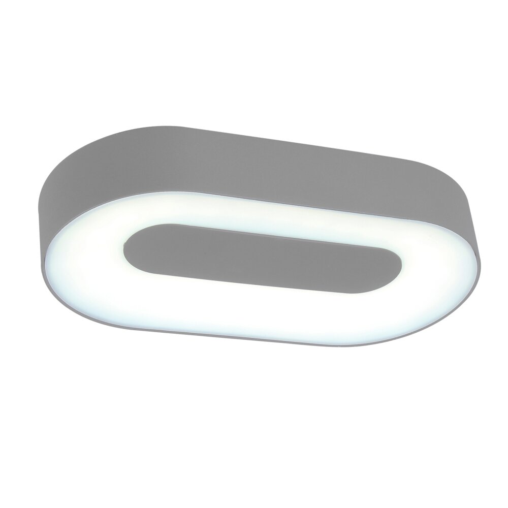 Outdoor Wall Light Felsted LED silver, 1-light source