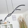 EAGLESHAM Pendant Light LED black, 1-light source