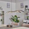 EAGLESHAM Pendant Light LED black, 1-light source