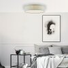 Brilliant BASKA Ceiling Light LED silver, 1-light source