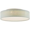 Brilliant BASKA Ceiling Light LED silver, 1-light source