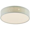 Brilliant BASKA Ceiling Light LED silver, 1-light source