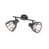 Fischer & Honsel TILDA Ceiling Light black, 2-light sources