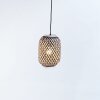 Fischer & Honsel HUMMEL Pendant Light black, 1-light source