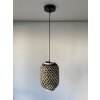 Fischer & Honsel HUMMEL Pendant Light black, 1-light source