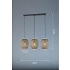 Fischer & Honsel HUMMEL Pendant Light black, 3-light sources