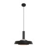 Steinhauer FLINTER Pendant Light black, 1-light source