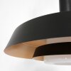 Steinhauer FLINTER Pendant Light black, 1-light source