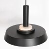 Steinhauer FLINTER Pendant Light black, 1-light source