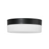 Steinhauer IKARO Ceiling Light LED black, 1-light source