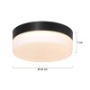 Steinhauer IKARO Ceiling Light LED black, 1-light source