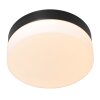 Steinhauer IKARO Ceiling Light LED black, 1-light source