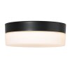 Steinhauer IKARO Ceiling Light LED black, 1-light source