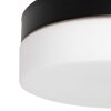 Steinhauer IKARO Ceiling Light LED black, 1-light source